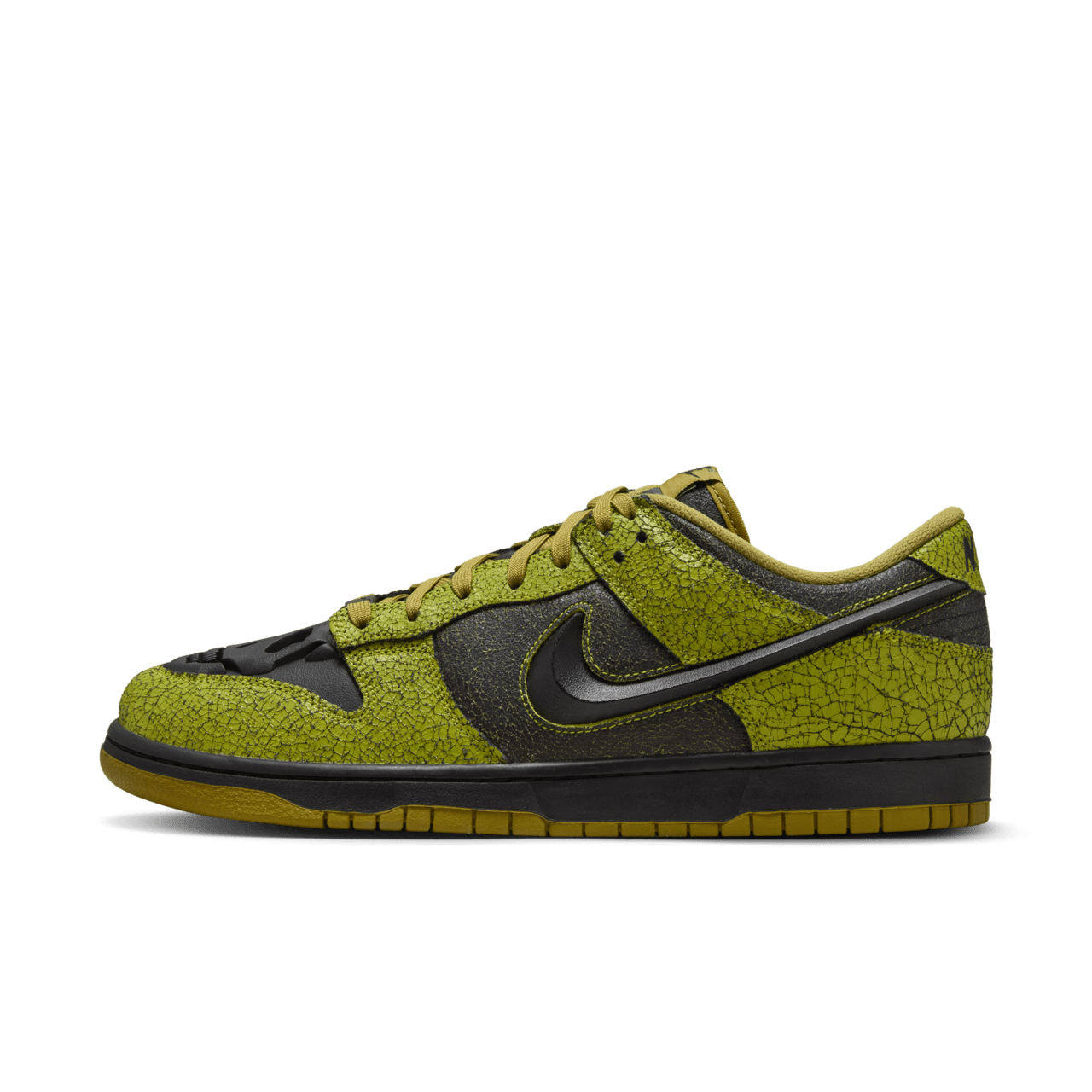 Nike Dunk Low Retro HV6103-300