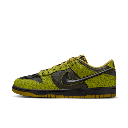 Nike Dunk Low Retro HV6103-300