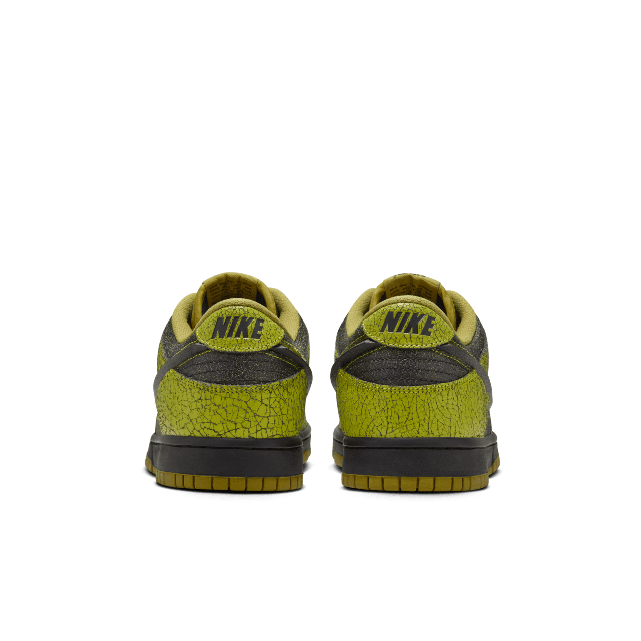 Nike Dunk Low Retro HV6103-300