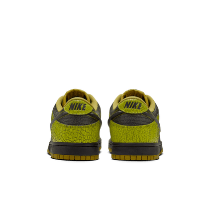 Nike Dunk Low Retro HV6103-300