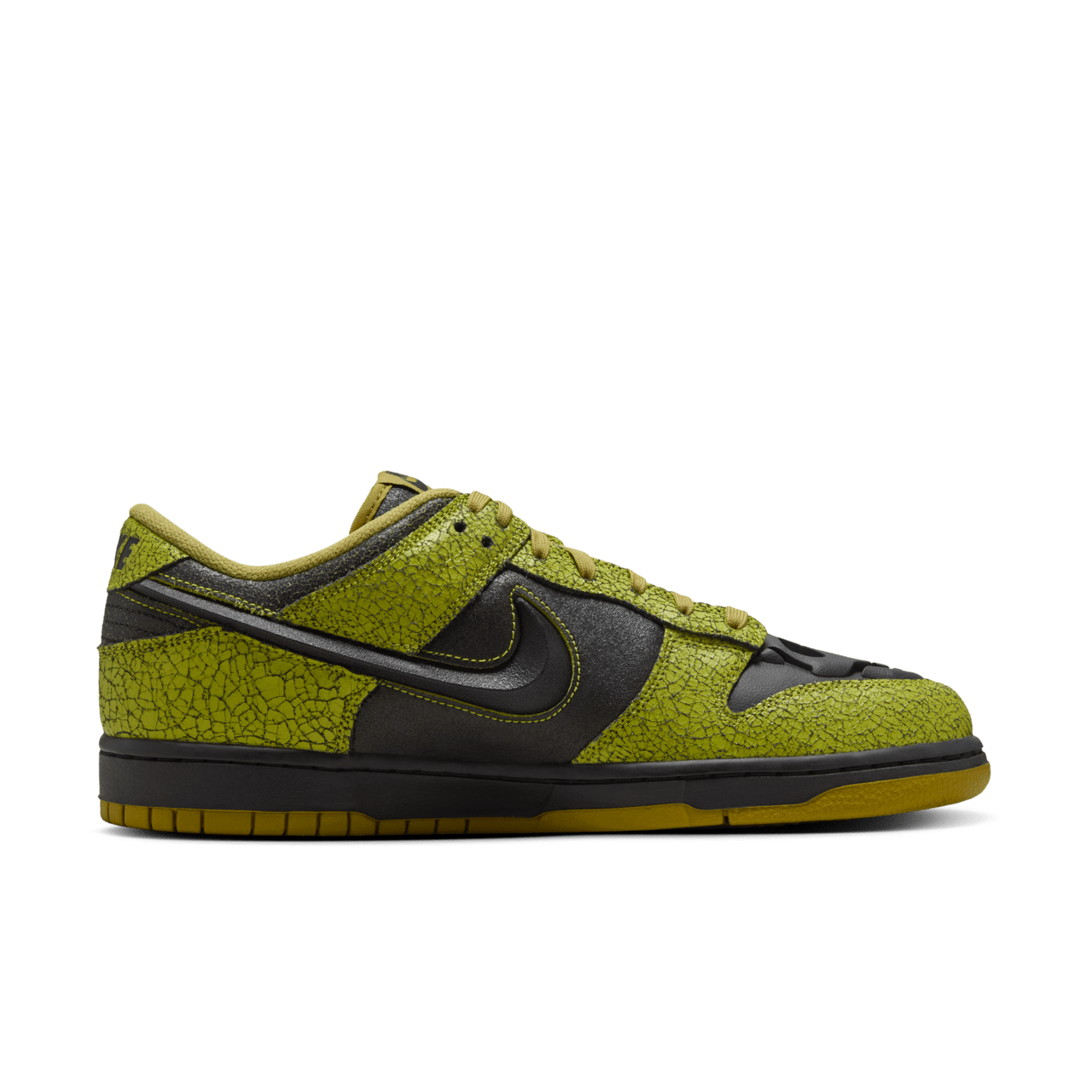 Nike Dunk Low Retro HV6103-300