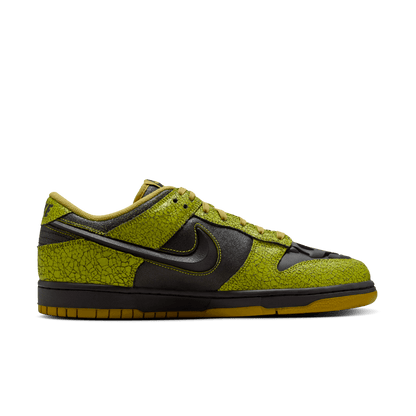 Nike Dunk Low Retro HV6103-300